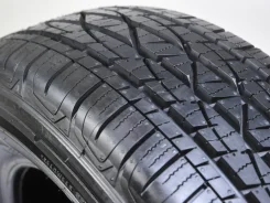 Firestone Destination LE-02. ������, ����� ����