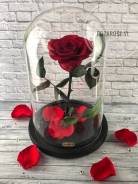 ����. ����