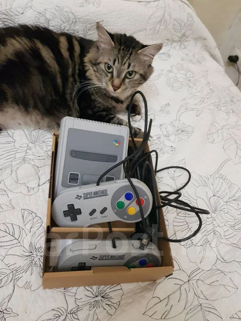 SNES ����
