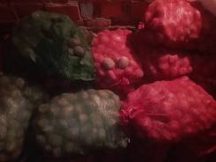 Картофель.