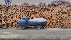 Mazda Bongo. Mazda bongo brawyn, 2 000 куб. см., 1 500 кг., 4x2