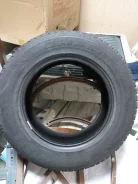 Bridgestone Blizzak DM-Z3. ������, �/�, ����� 50 % ����