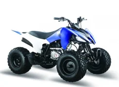 Racer Panther 200. ��������, ��� ���\���, ��� ������� ����