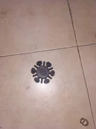 ���� ��������. ����