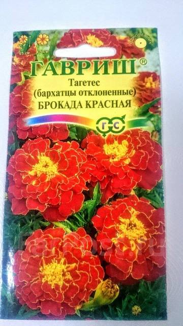 Бархатцы Брокада Красная (семена цветов ), новый, в наличии. Цена: 22 ...