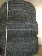 Tigar Winter 1. ������, ��� �����, �/�, ����� 30�% ����