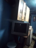 ����� ����