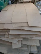 ���. ����