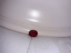 ����� �����������, ���������������. ����