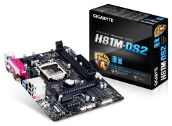 H81