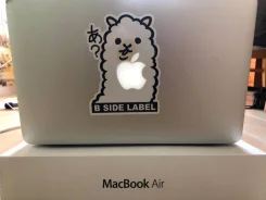 Apple MacBook Air 11. 11.6", 1,3����, ��� 4 ��, ���� 121���, WiFi, Bluetooth