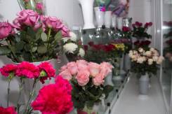 ����������� ����������. ����