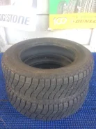 Bridgestone Ice Partner. ������, ��� �����, �/�, ����� 5�%