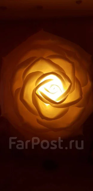 ������ ������ ����