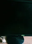 Asus. 19" ����