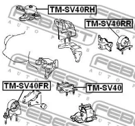 ������� ��������� | ��� ����/��� | Febest TMSV40RR TMSV40RR ����