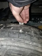 Standart Tyres. ������, ��� �����, �/�, ����� 30 % ����