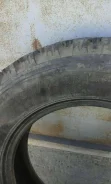GT Radial WinterPro2. ������, ����������, 2017 ���, �/�, ����� 10�%