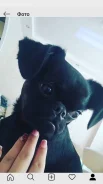 ����� ��� ���������. ����