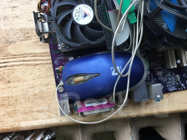 AMD ����