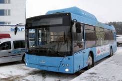 МАЗ 203965. Автобус , 105 мест. Под заказ