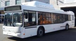 МАЗ 103965. Автобус , 90 мест, В кредит, лизинг. Под заказ