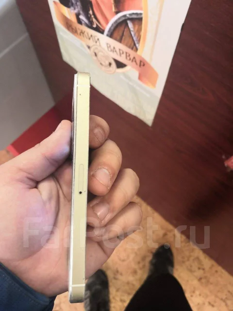 Apple iPhone 5s. �/�, �������, 4G LTE ����