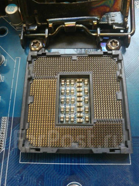 P55 ����
