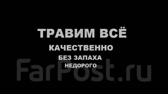 Полное Уничтожение И Истребление! -клещей, тараканов, клопов, ос и т. д ...
