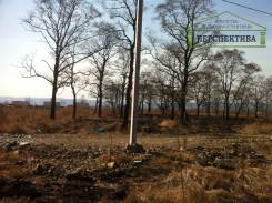 Продается участок в с. Ясное , пер. Чернышева в Артеме Продается участок в с. Ясное , пер. Чернышева. 1 500 кв. м., аренда, электричество. Фото участка