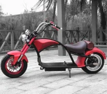 Seev Citycoco. ��������, ��� ���, ��� �������. ��� ����� �� ������������ ����