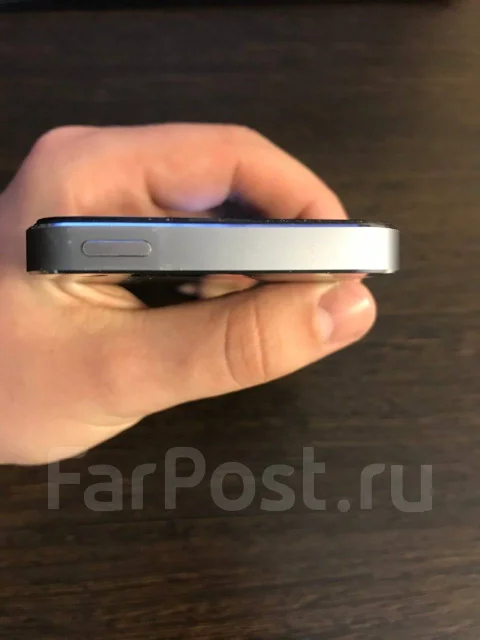 Apple iPhone 5s. �/�, �����������, 4G LTE ����