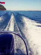 ���� 17. 2016 ���, ����� 5��., ��������� ���������, 100��.�., ������. ��� ����� �� �������� ����