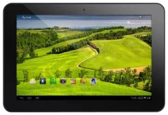 RoverPad Tesla 10.1 ����