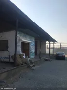 ��� �� ���� �������� 25�� ����