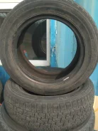Northtrek. �����������, �/�, ����� 50�%