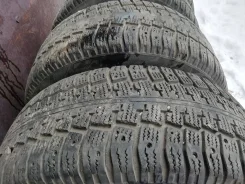 Pirelli Winter Studdable Plus. ������, ����������, �/�, ����� 60�%