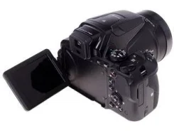 Nikon Coolpix P900. 15 - 19.9 ��, ���: 14� � ����� ����