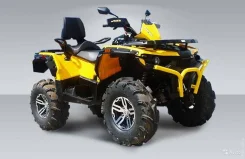 Stels ATV 850G Guepard Trophy. ��������, ���� ���\���, ��� ������� ����