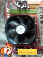 AMD