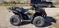 Kawasaki Brute Force 650. ��������, ���� ���\���, � �������� ����