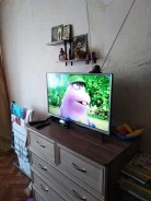 LG 20MT48VF. CRT (���) ����
