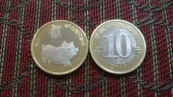 ����� 10 ����� - ��� ������ / ������ - 2019 ��� ����