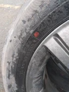 Bridgestone Playz PX-RV. ������, 2009 ���, �/�, ����� 40 %. ��� ����� �� ������ ����