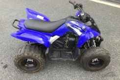 Yamaha Raptor 90. ��������, ���� ���\���, � �������� ����