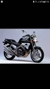Yamaha FZX 250 Zeal ����
