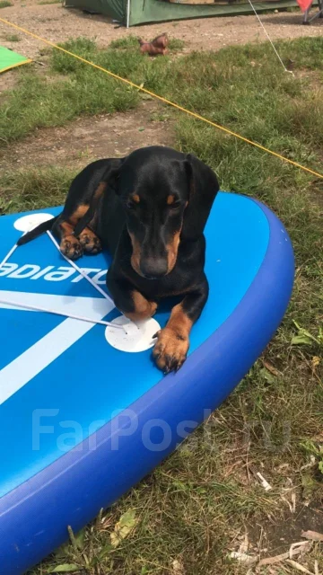 �����. ����