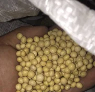 ����� ���! ��������! ����� ! ����