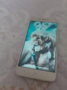 Xiaomi Mi5. �/�, 64 ��, �������, 4G LTE