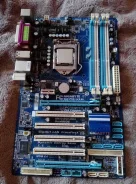 P55 ����